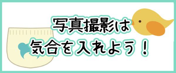 メリーズモデル 応募